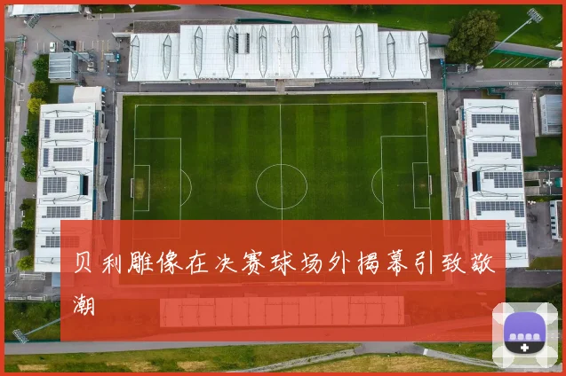 贝利雕像在决赛球场外揭幕引致敬潮